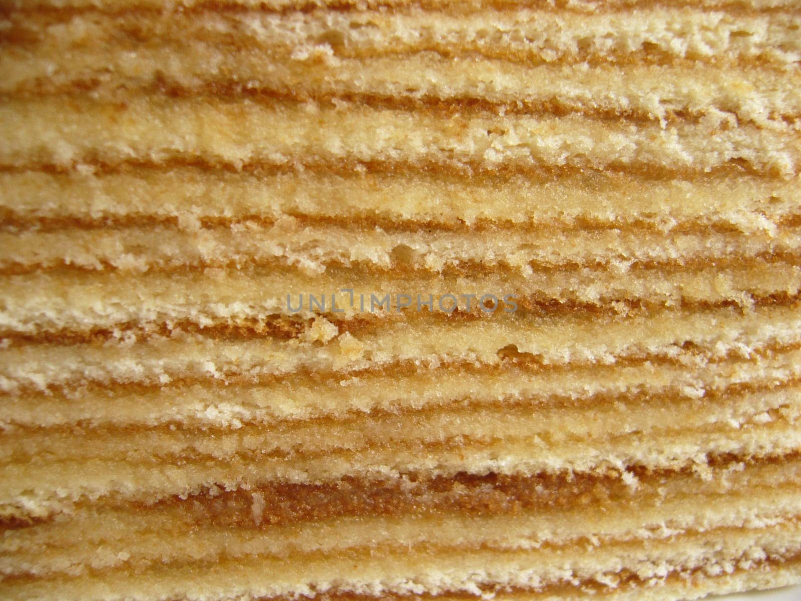 Kitchen detail (sponge cake)