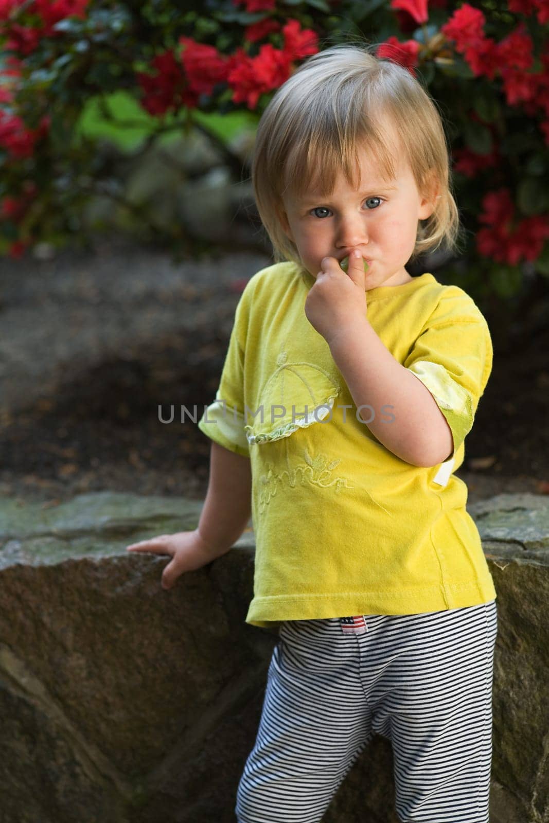 A little girl stands in a funny pose leaning against a wall and puts a bunch of grapes in her mouth