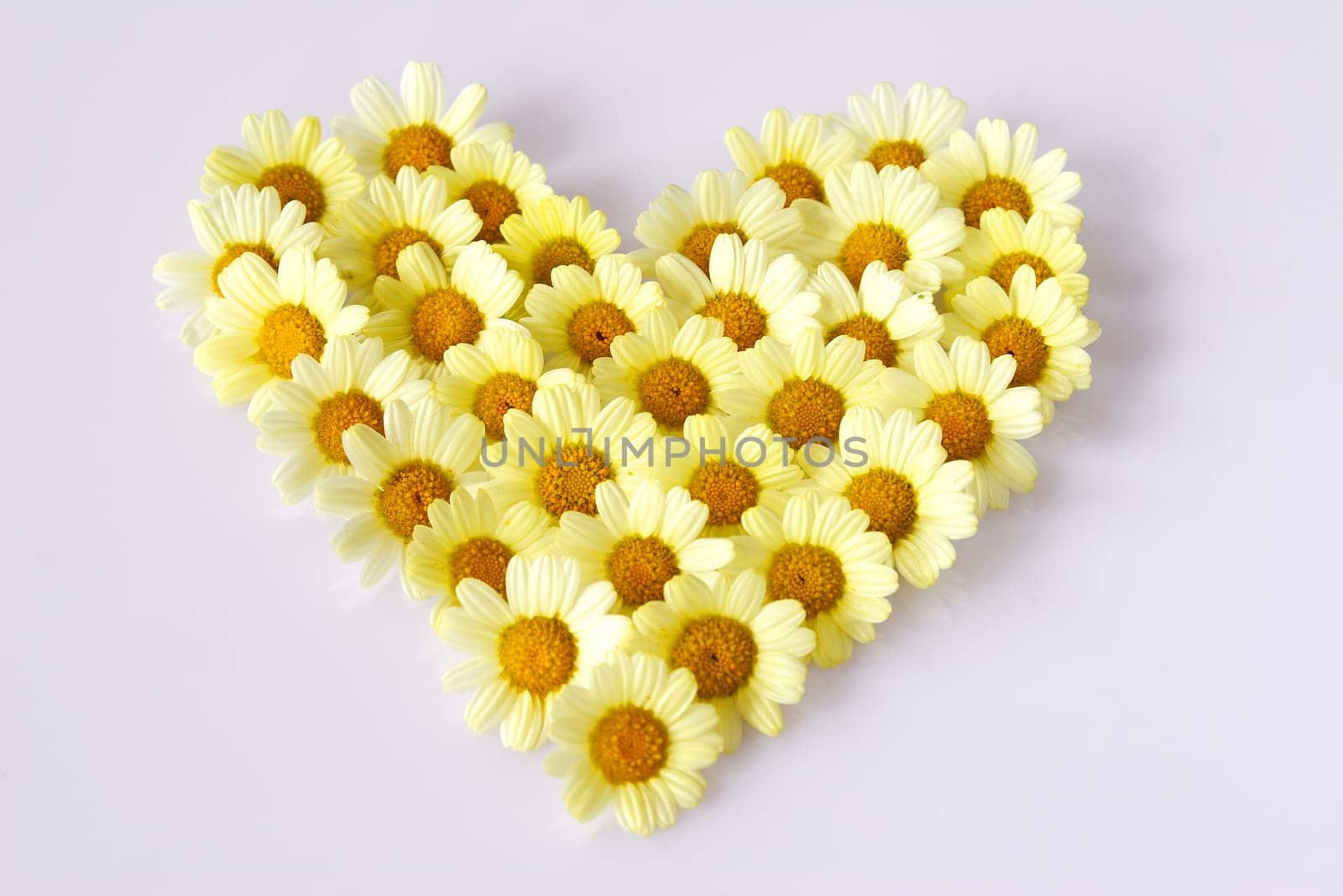 Flower Heart