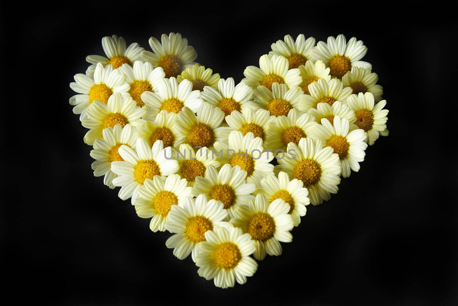 Flower Heart