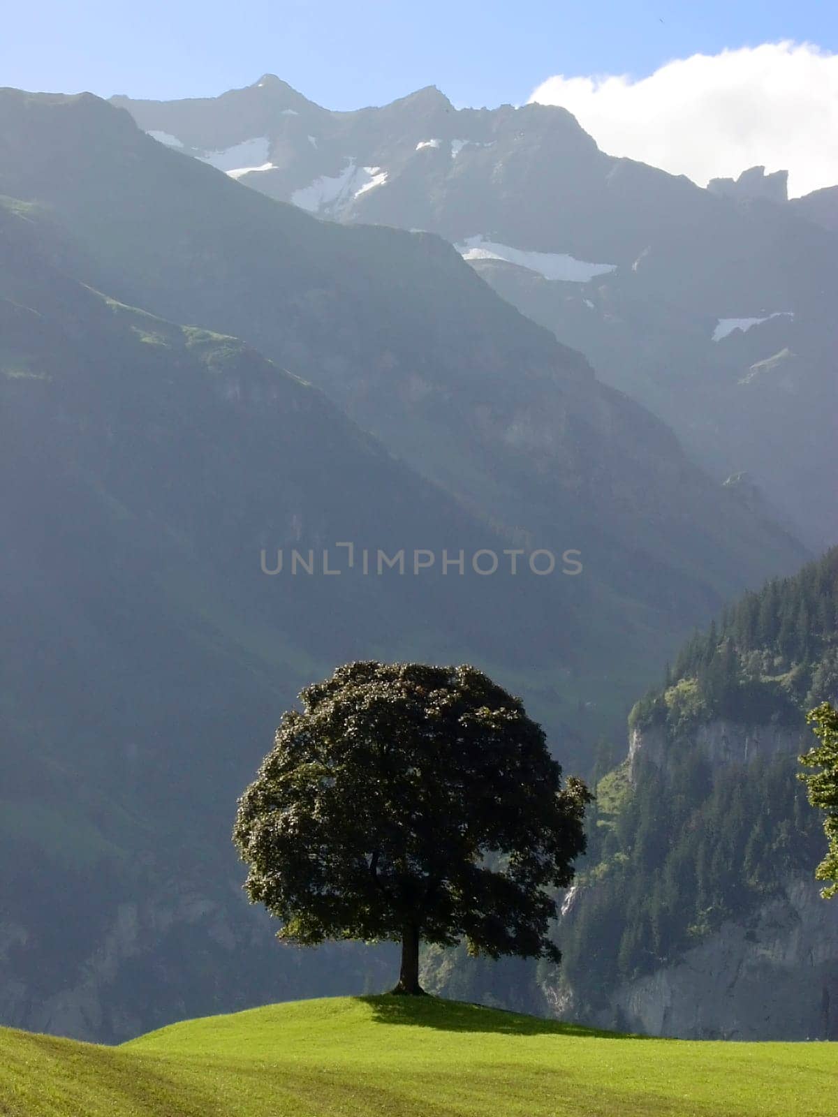 Uri soil Mountain landscape in Central Switzerland Switzerland