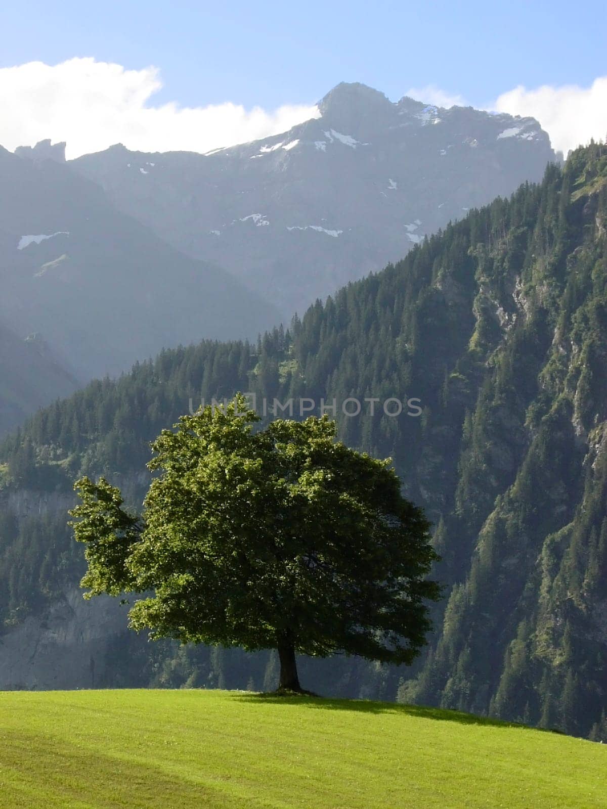Uri soil Mountain landscape in Central Switzerland Switzerland