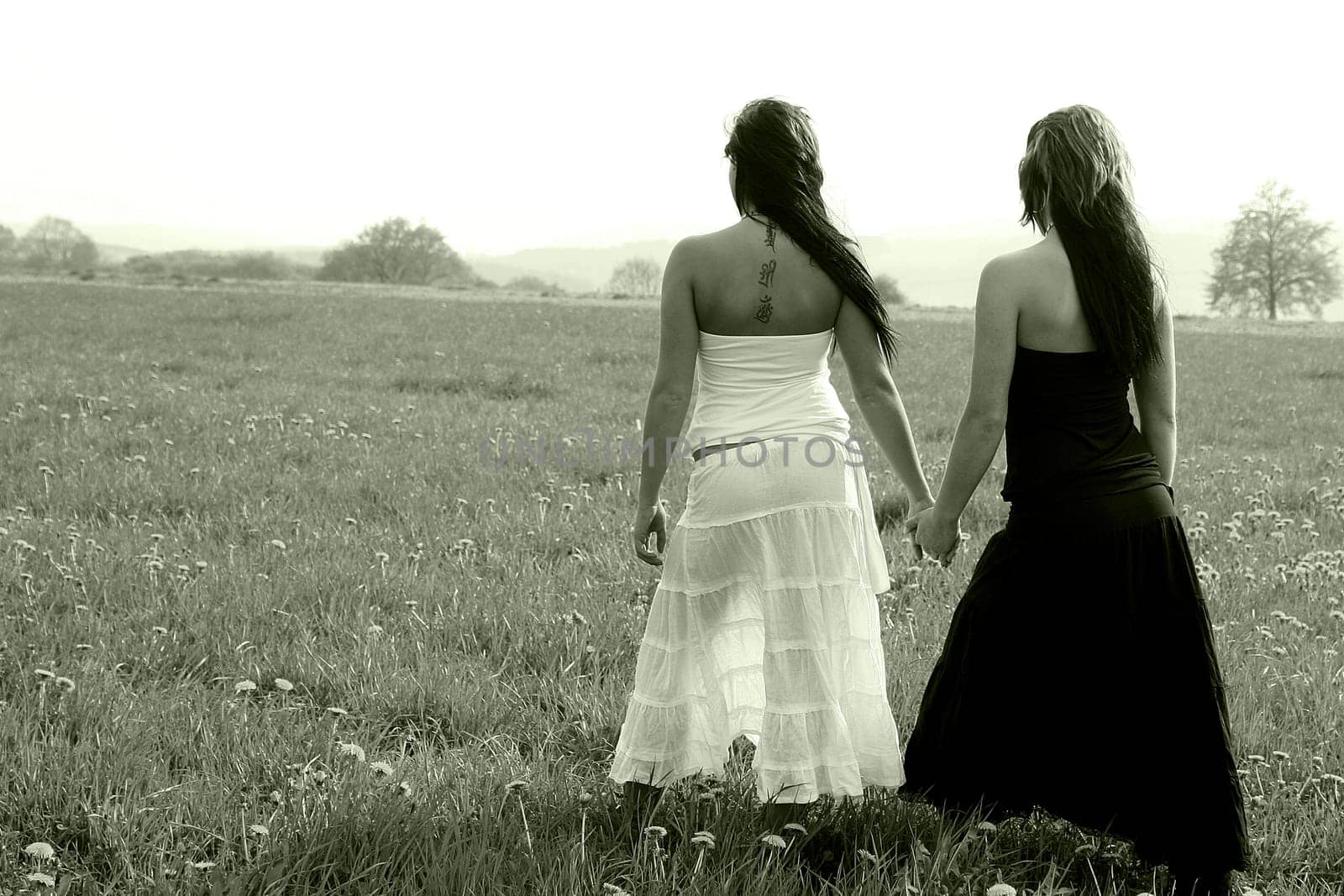 Friends