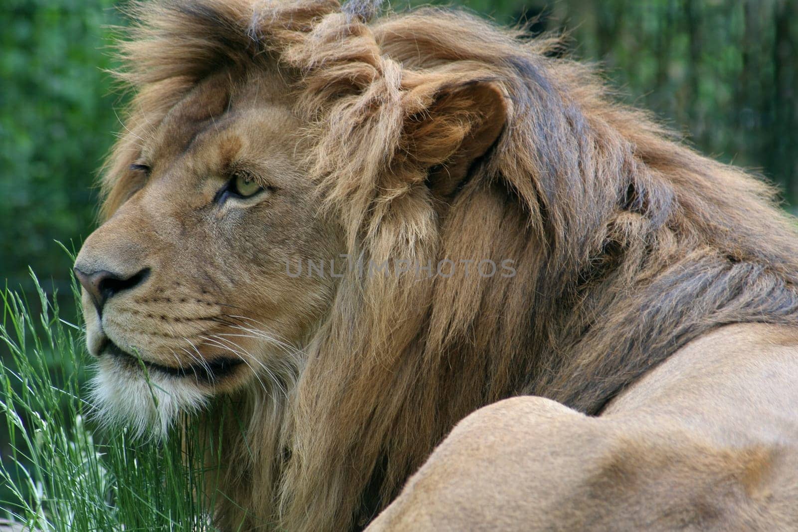 Always nice and vigilant...