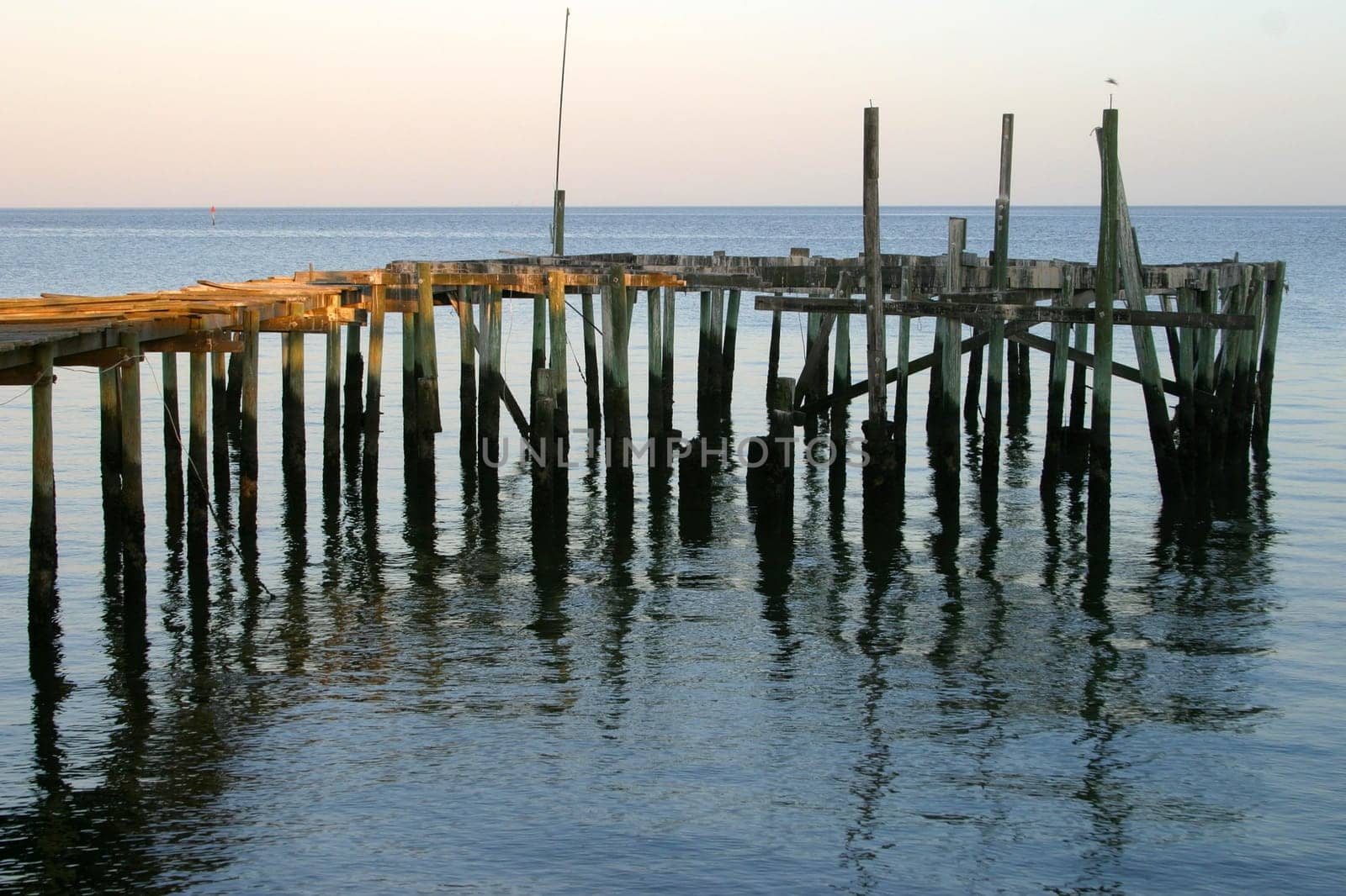 America,Florida,Cedar Keys