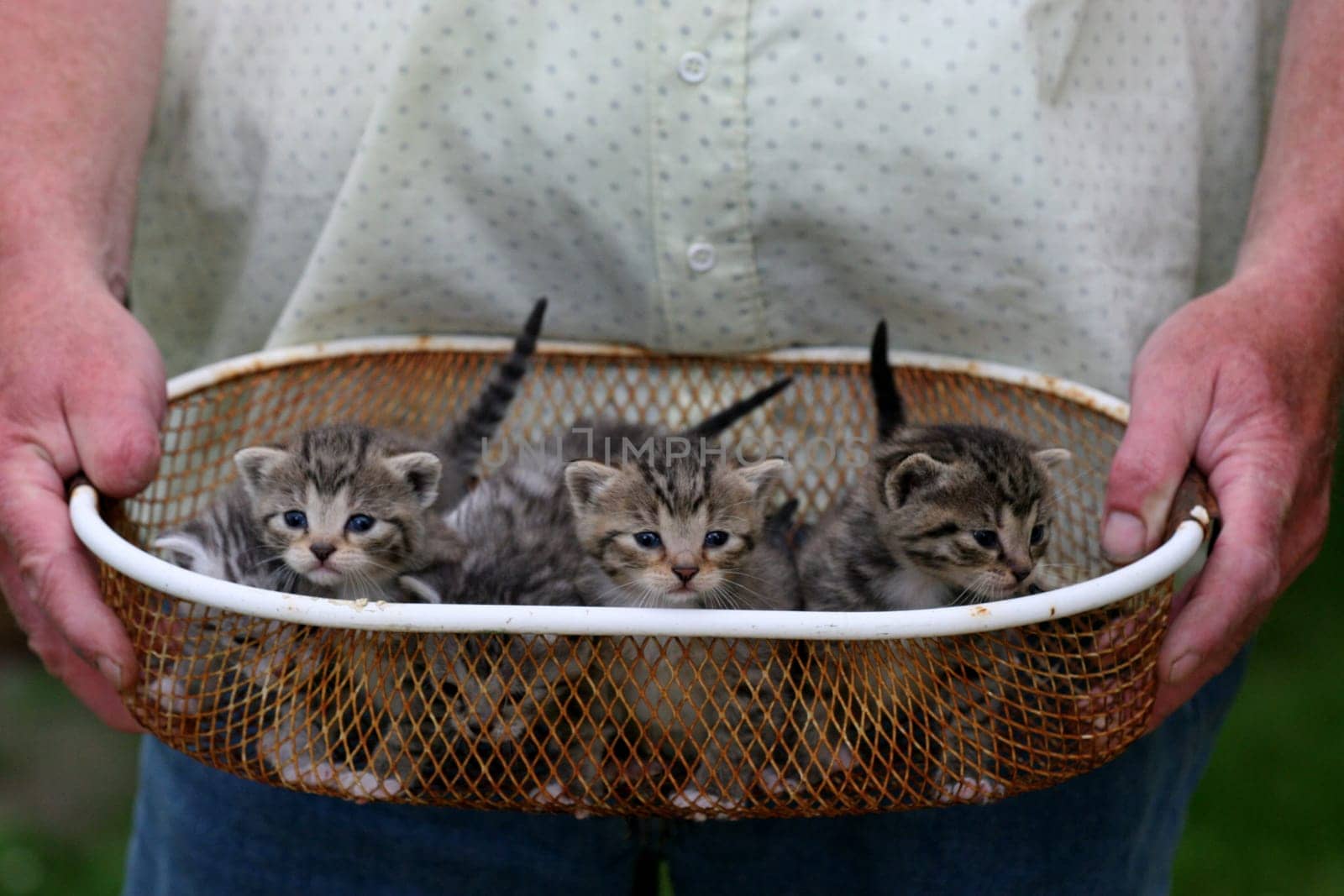 All together