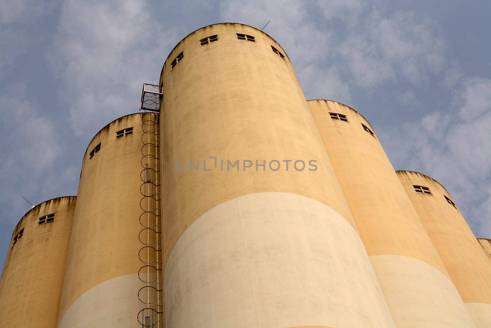 Very tall grain silos of a food factory