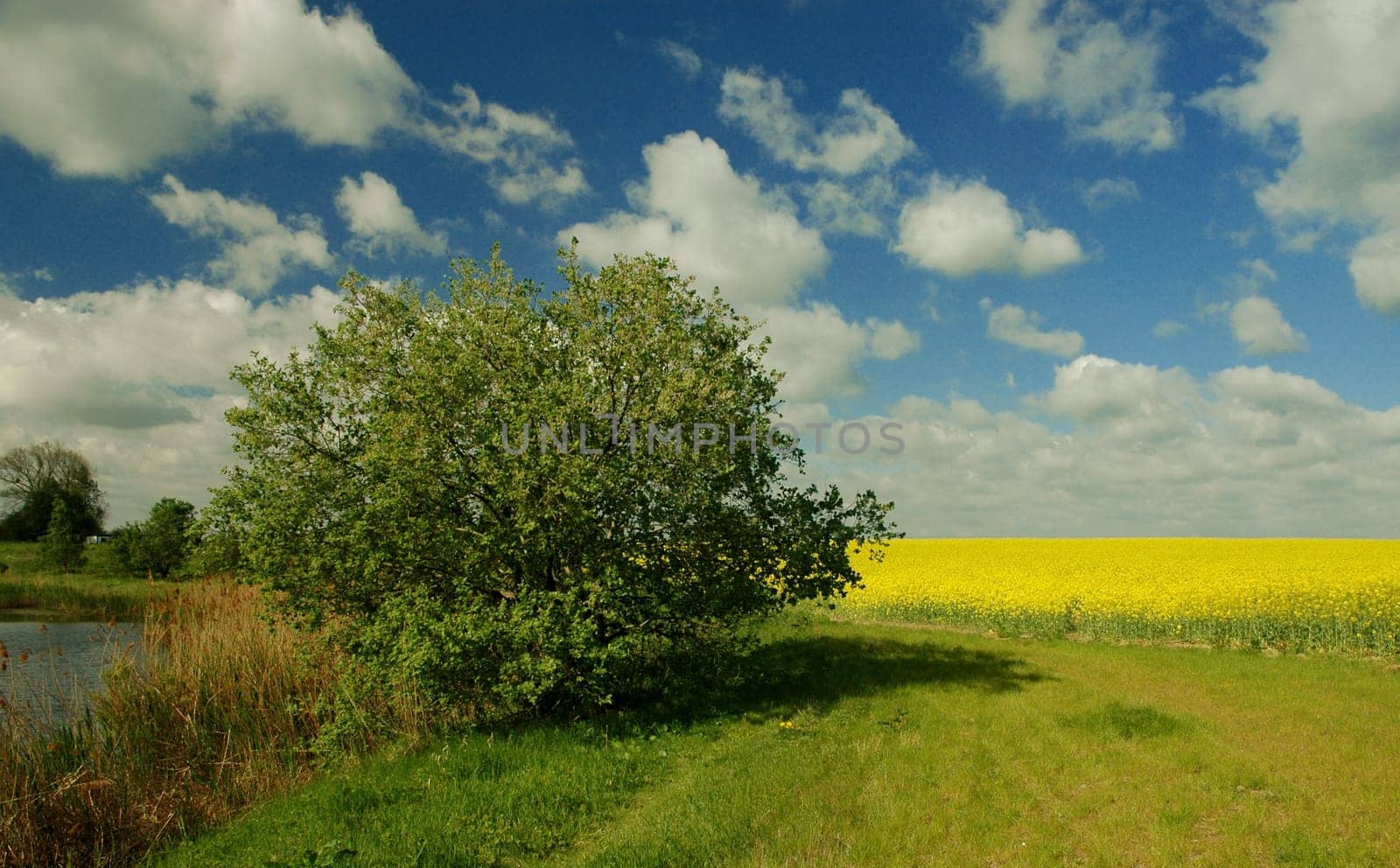 A greeting from my homeland......