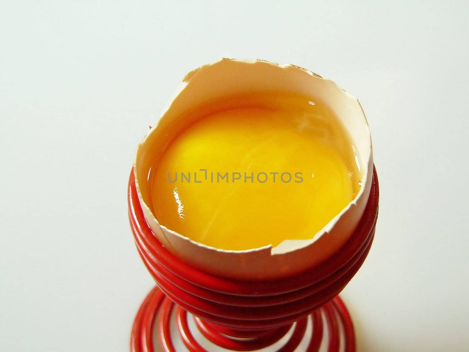 Yolk