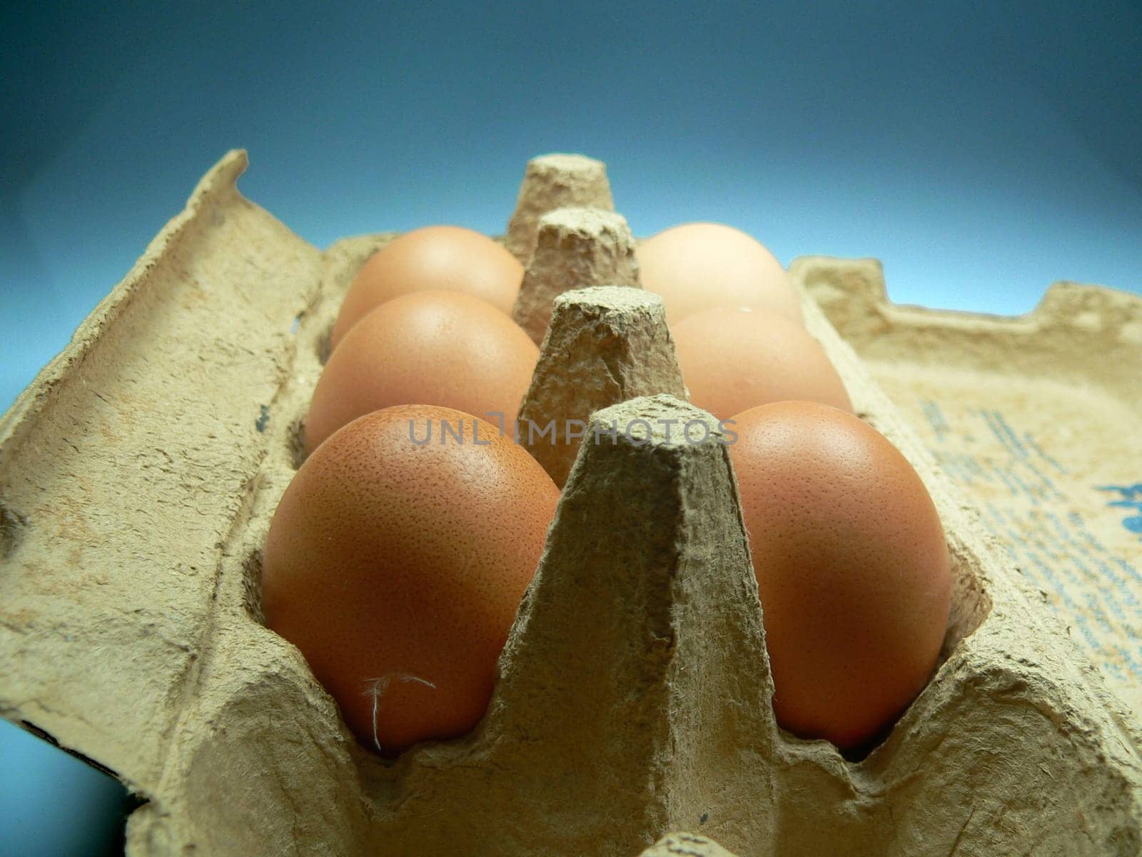 Eggs in a carton