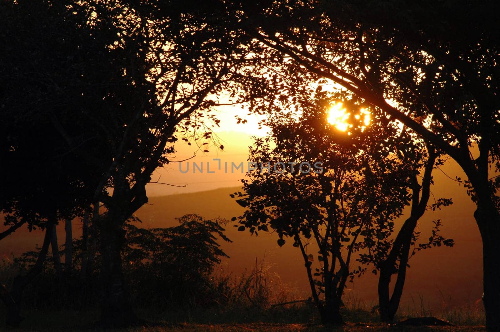 Evening