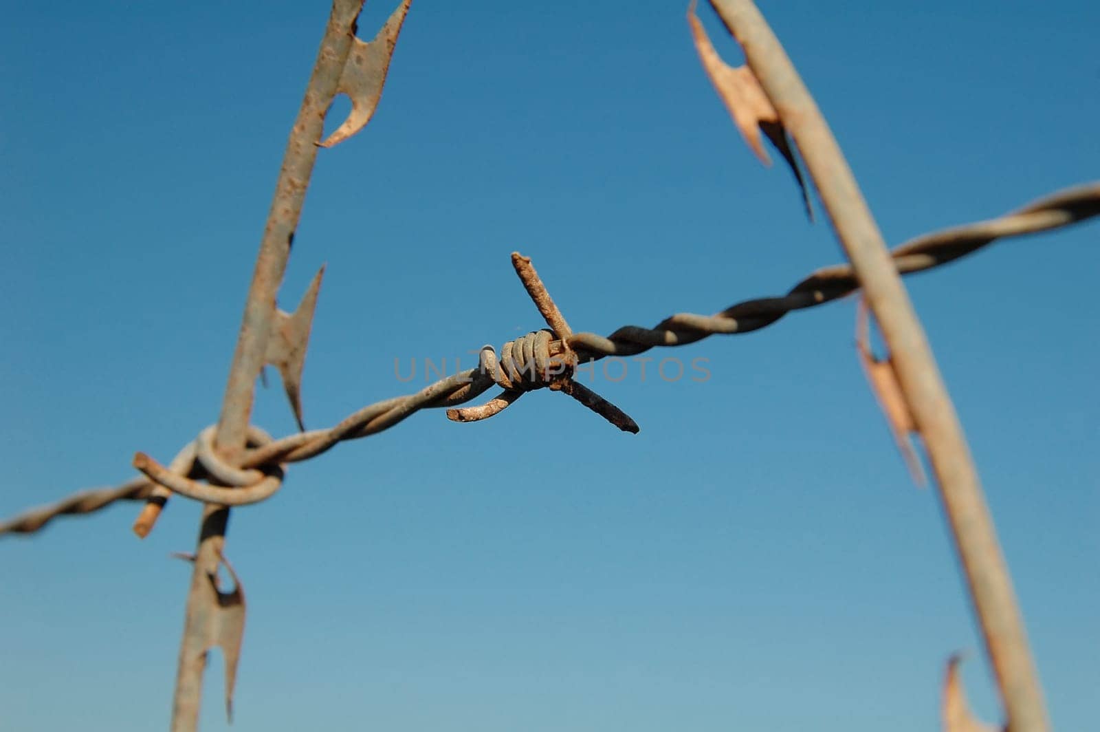 Barbed wire