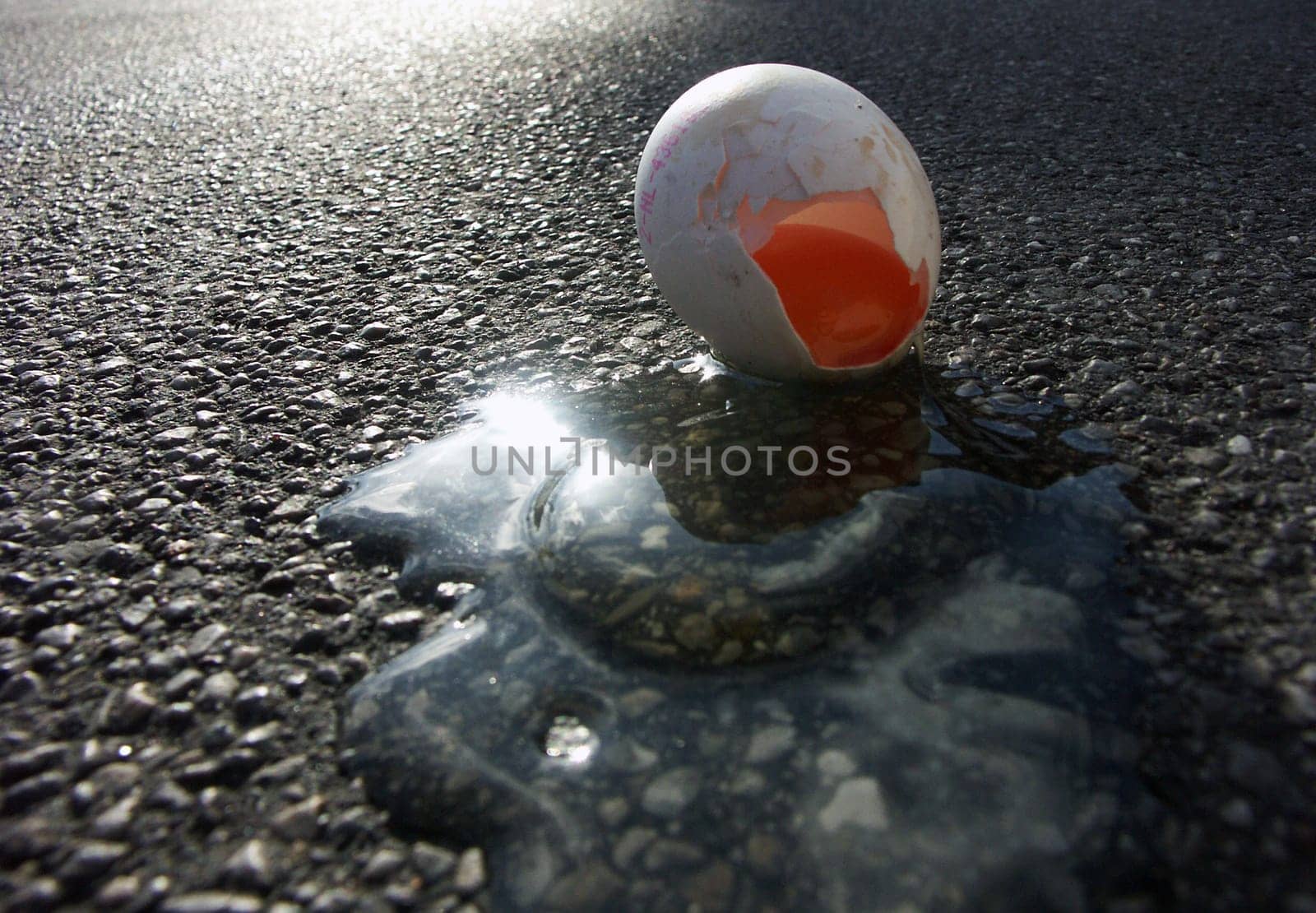 Leaked egg