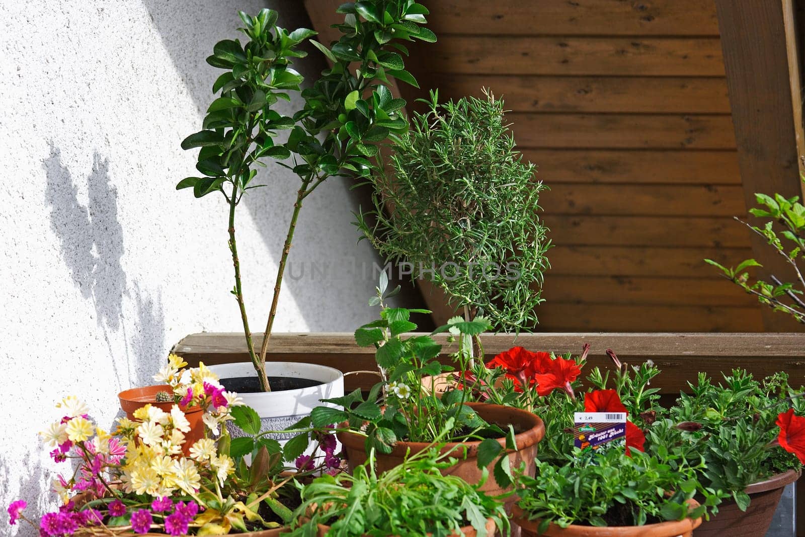 Balcony garden