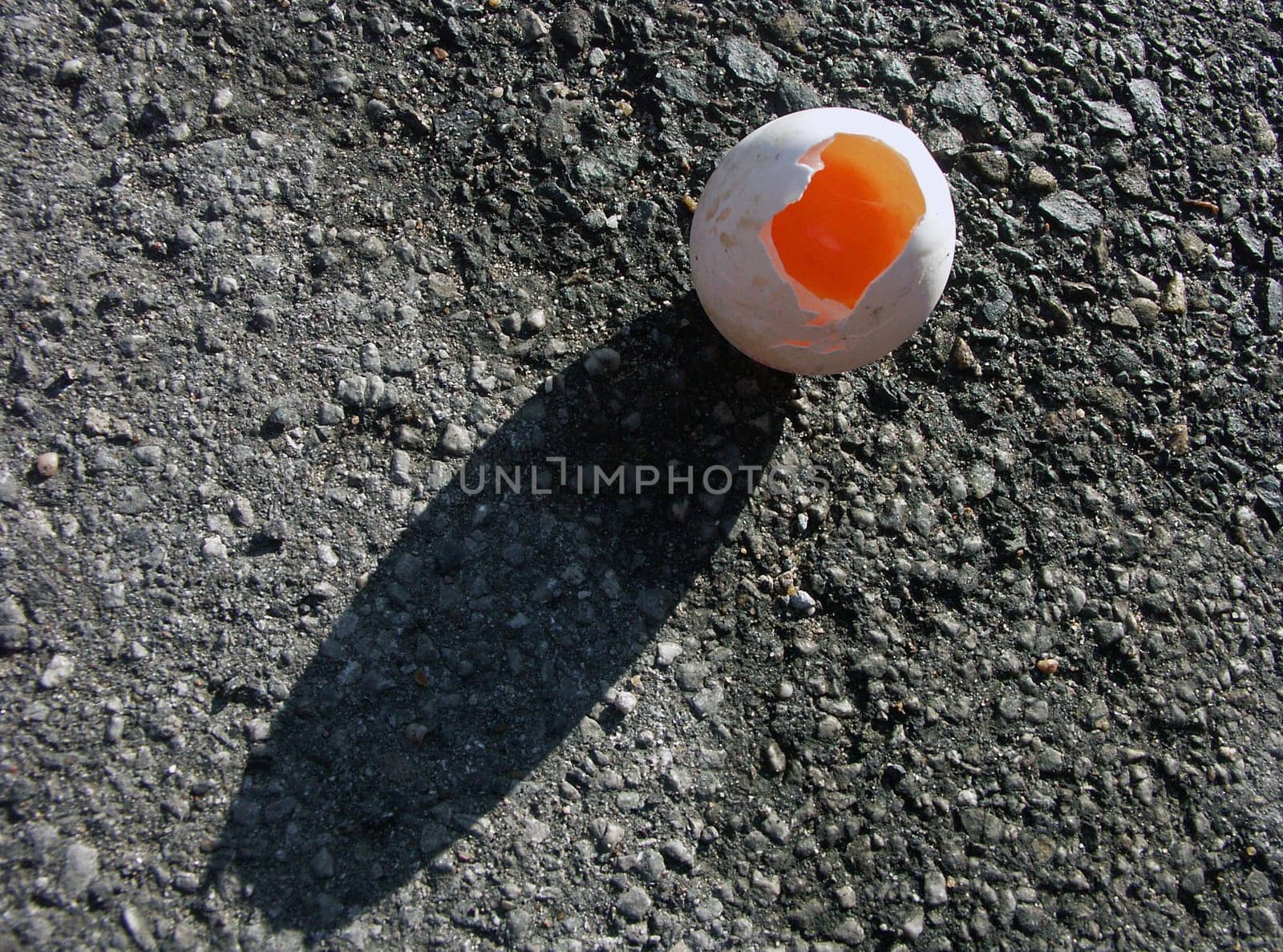Damaged egg