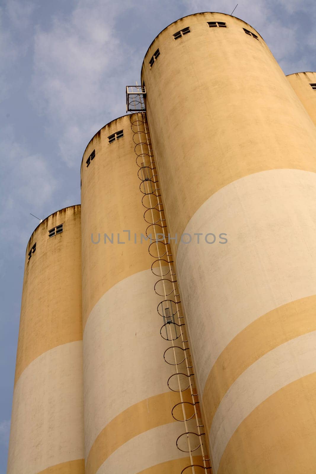 Very tall grain silos of a food factory
