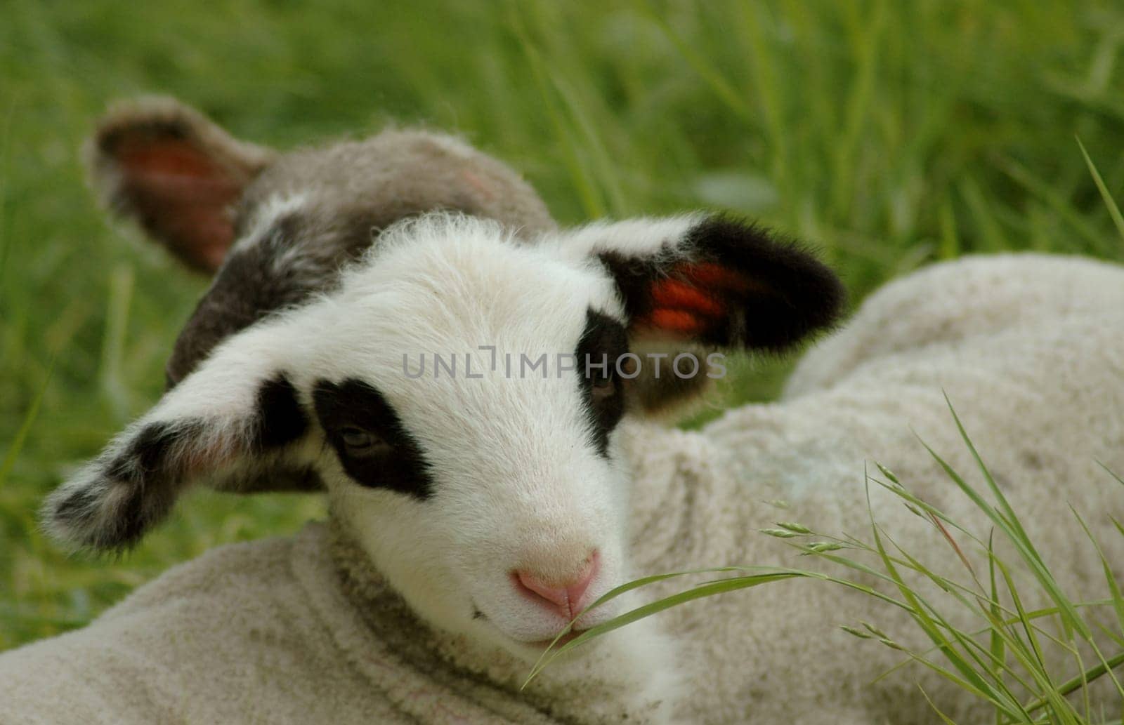 My brother is still a bit shy......!