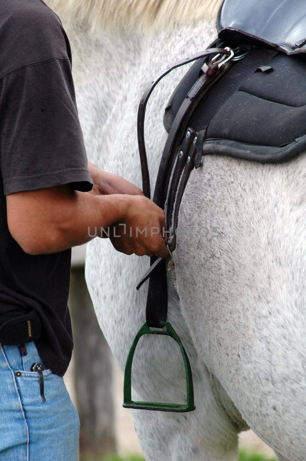 Saddle