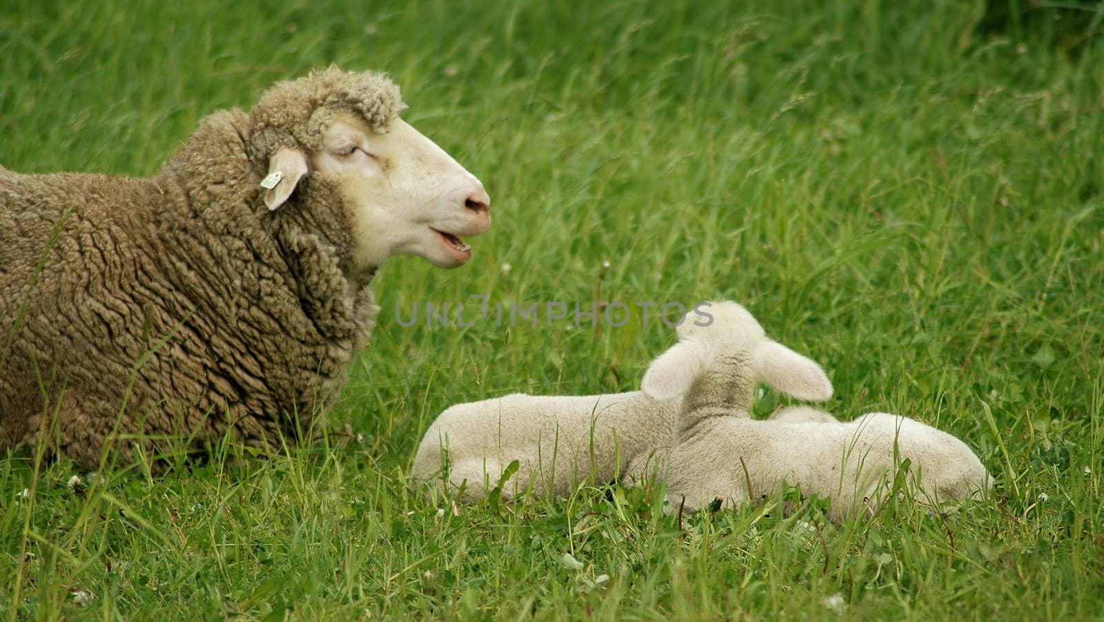 But here was loud complaining,when I came too close......!