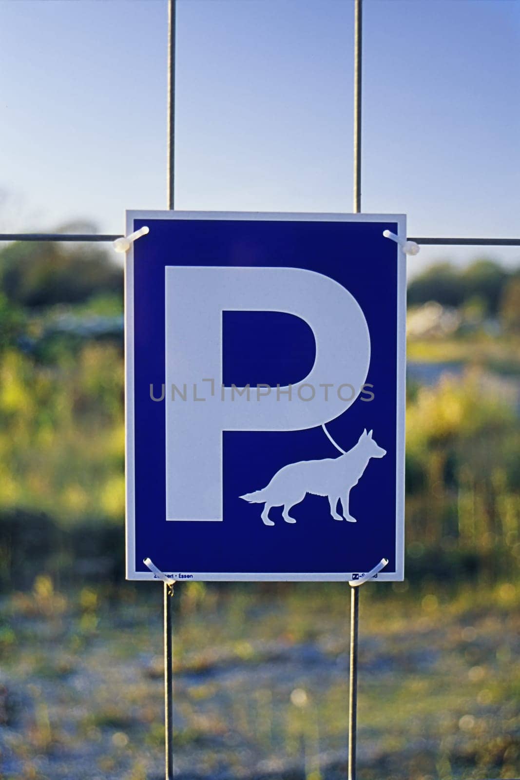 Dog parking