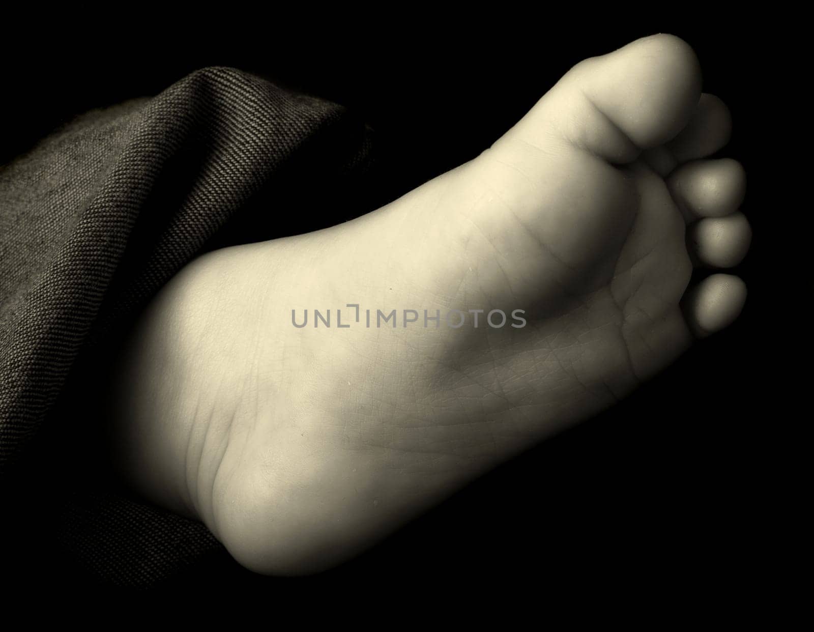 Baby's foot
