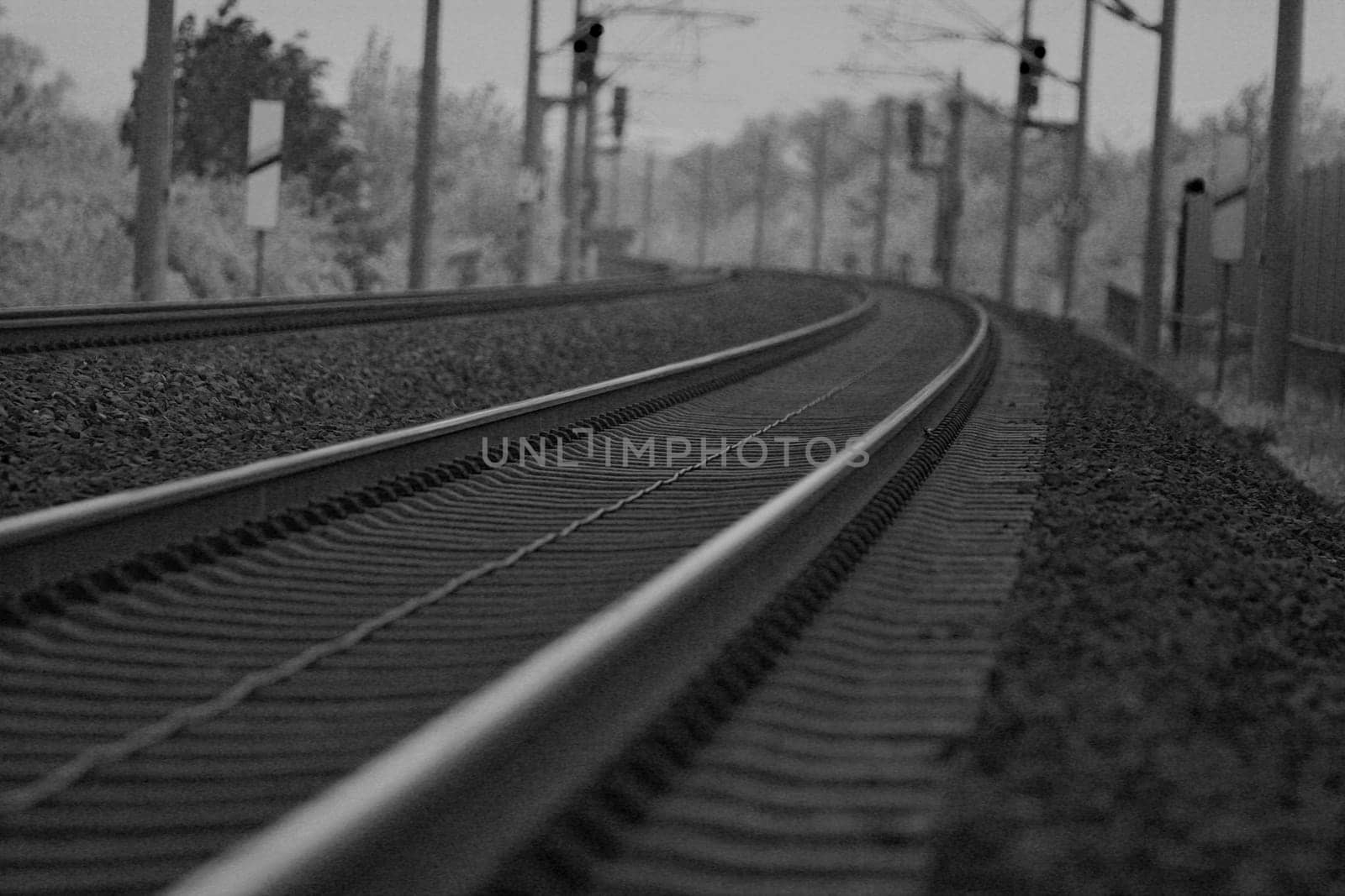 1/4000 sec. f2.8 ISO400 @ 150mm the noise I added,should look old