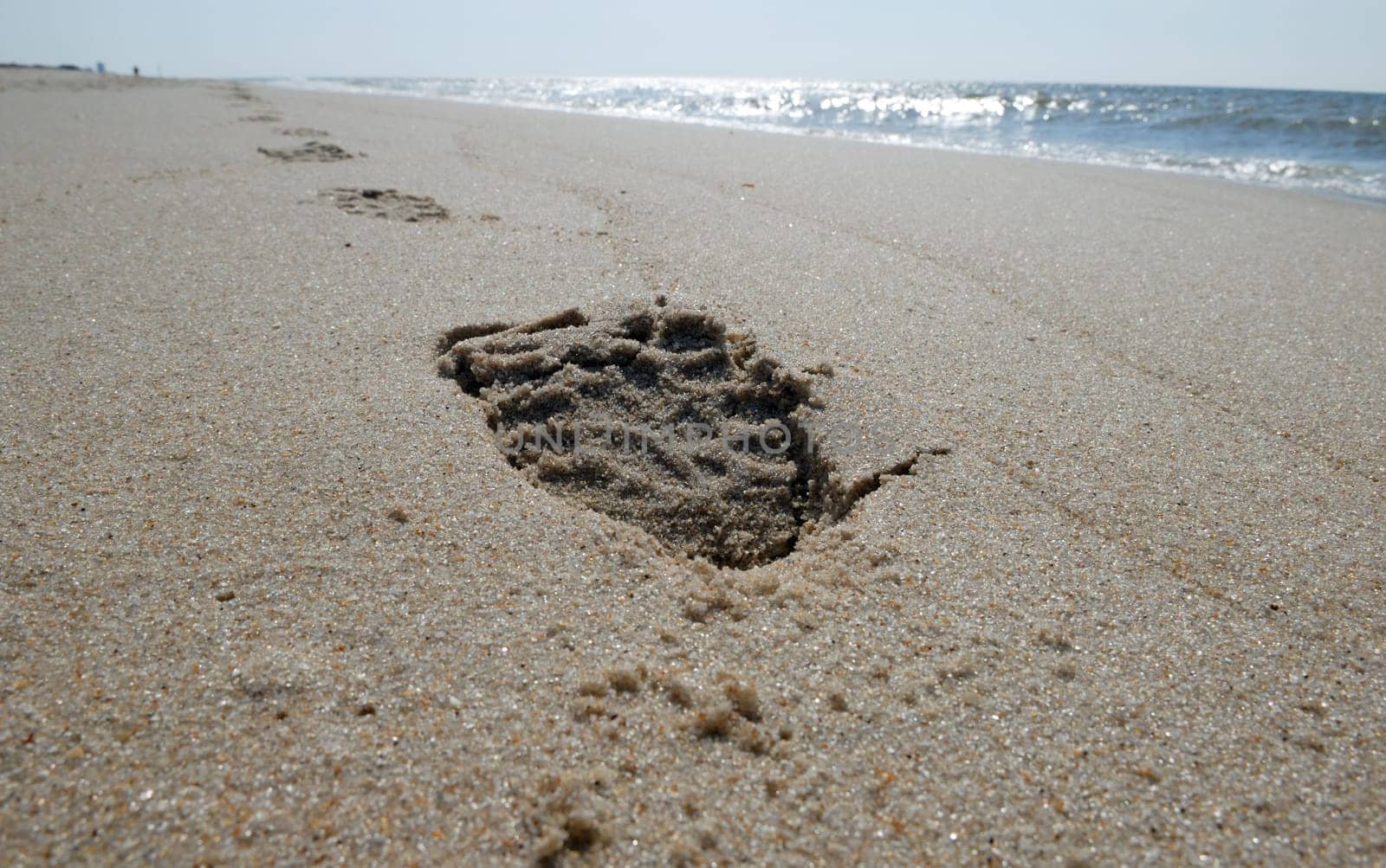 Print of a shoe on the beach
