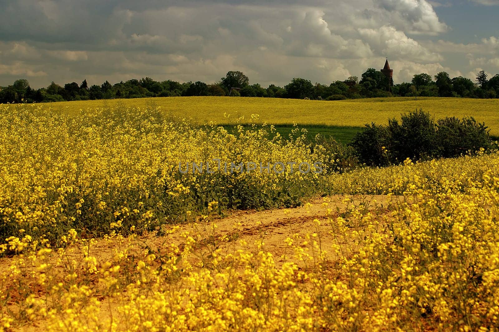 The road to the castle