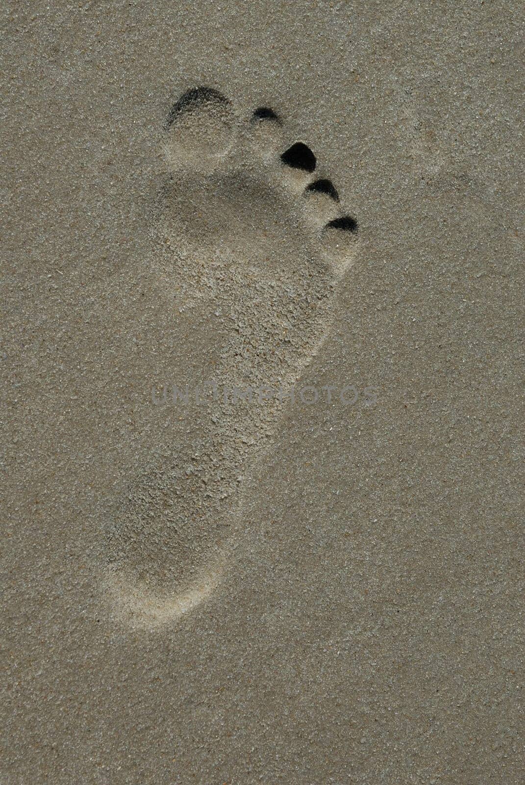 Footprint in the sand
