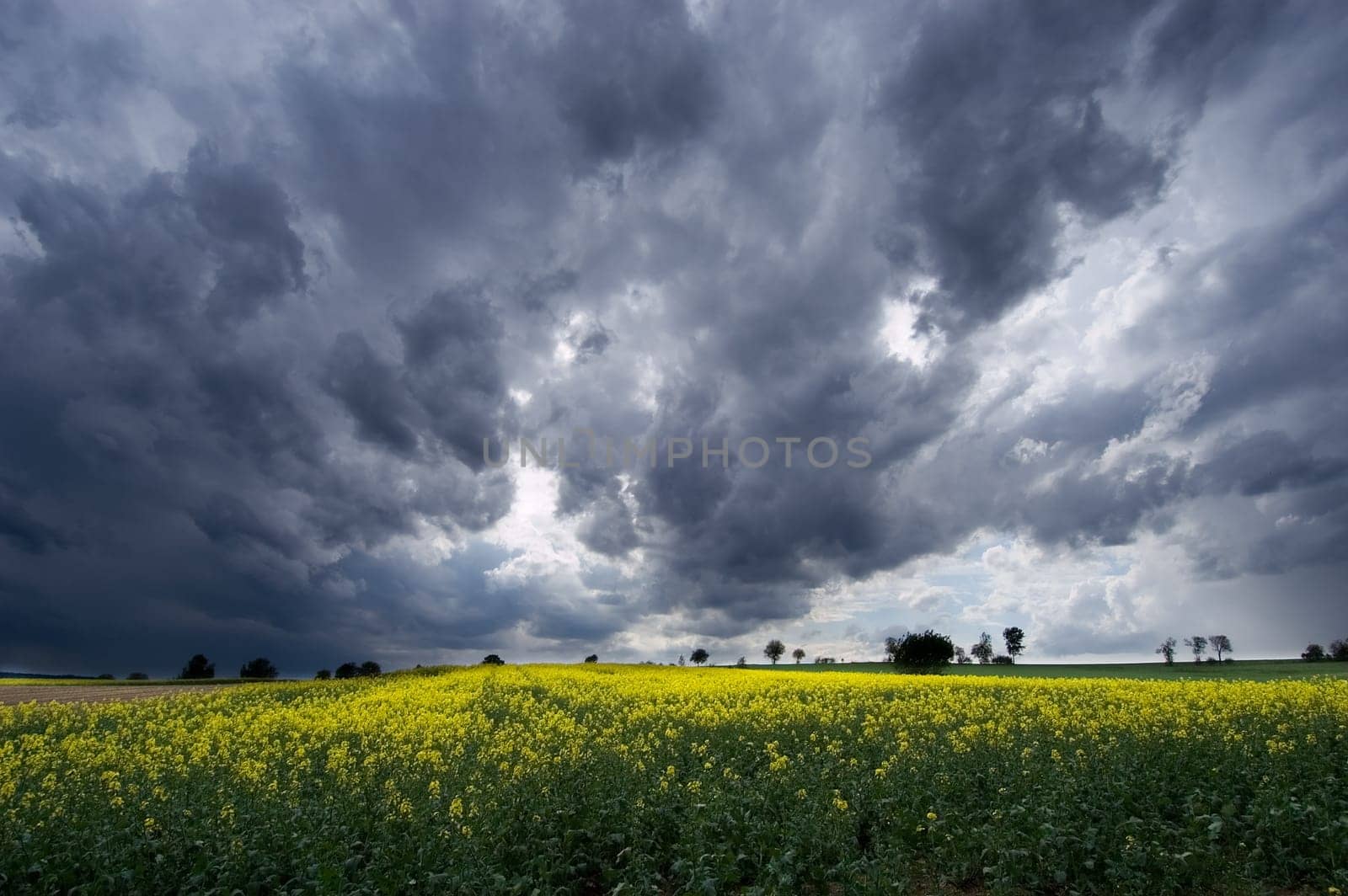 Thunderstorm mood 01