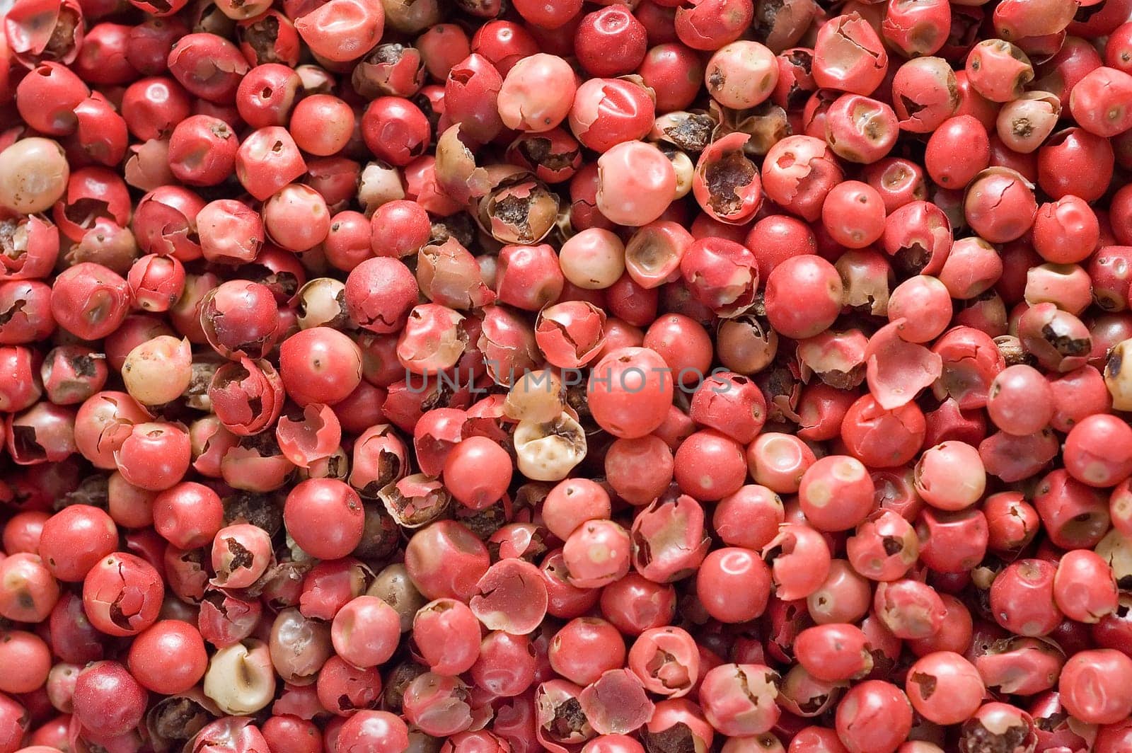 Red pepper
