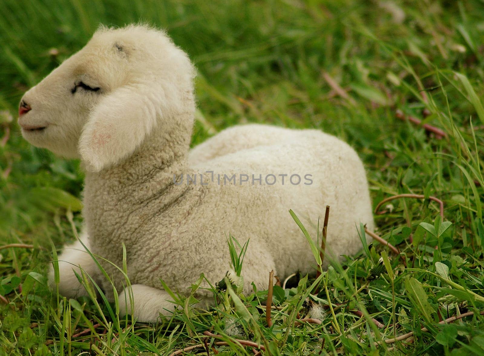 To the left something very tightly photographed,but I still found it quite cute.....!