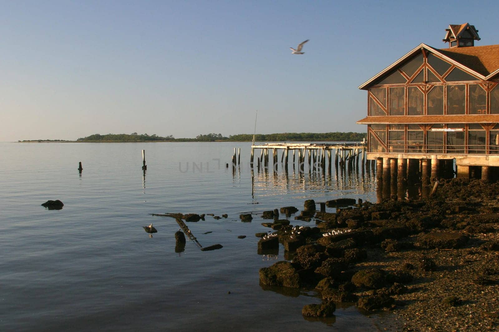 America,Florida,Cedar Key