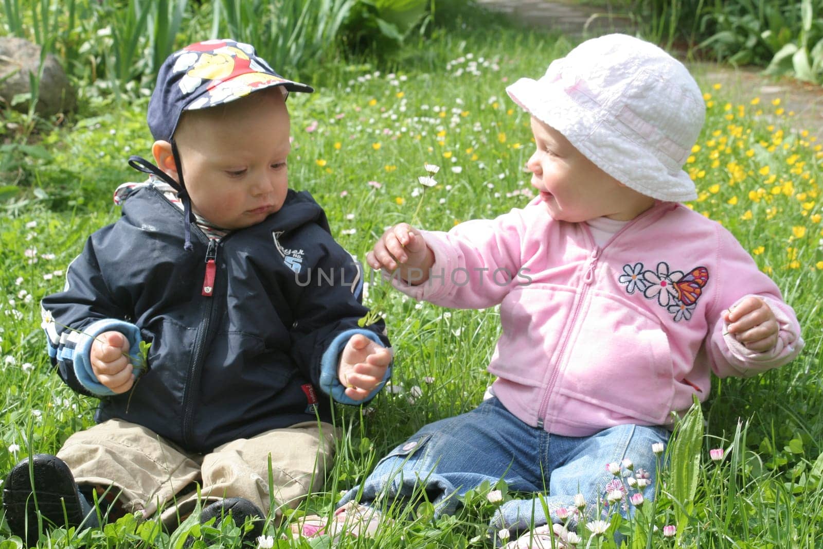 Children in the flower meadow2