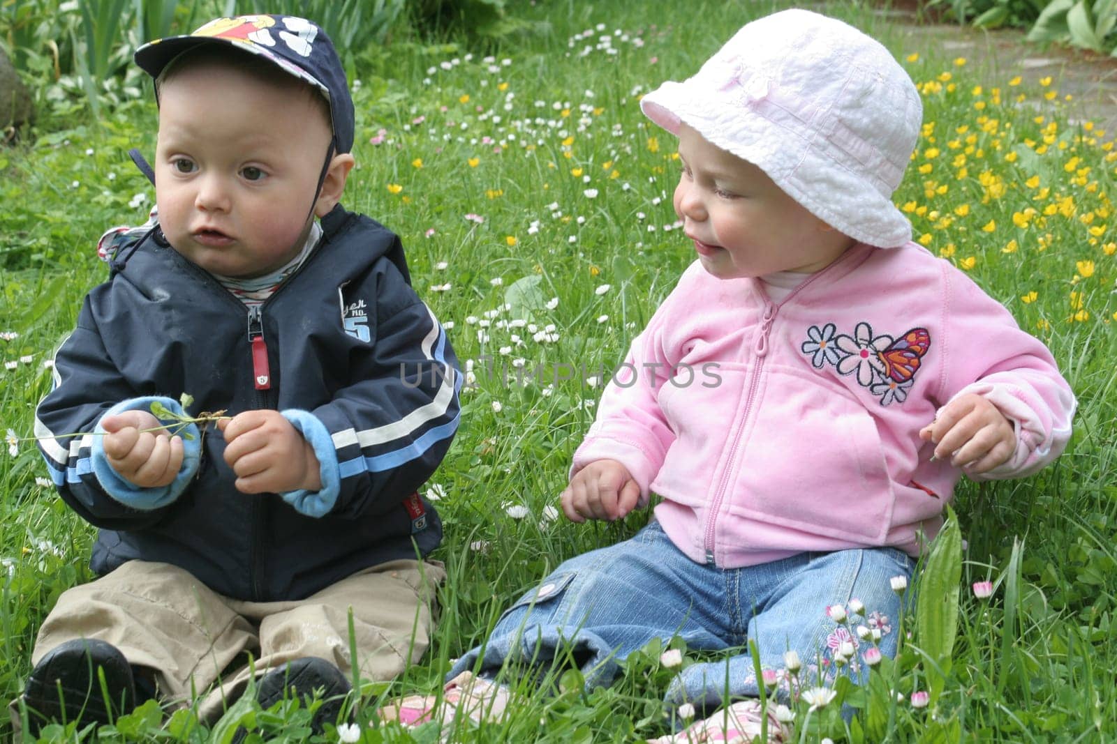 Children in the flower meadow