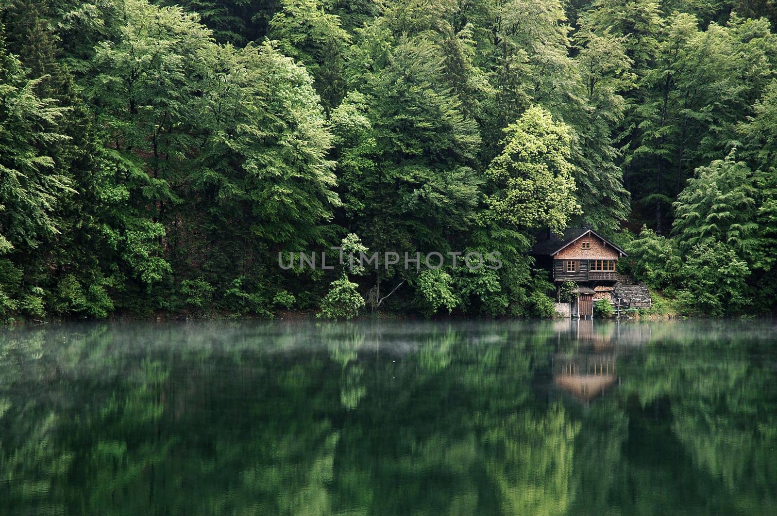 Silence at the Freibergsee