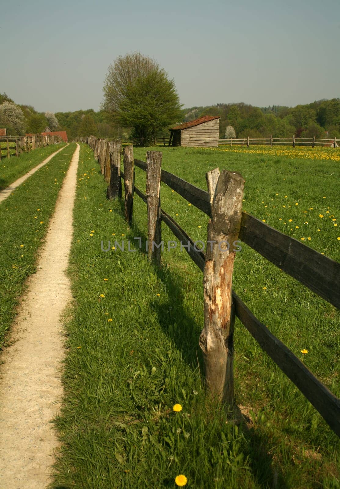 Path through a meadow landscape