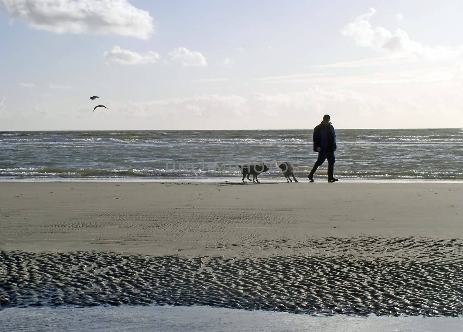 Walk by the sea