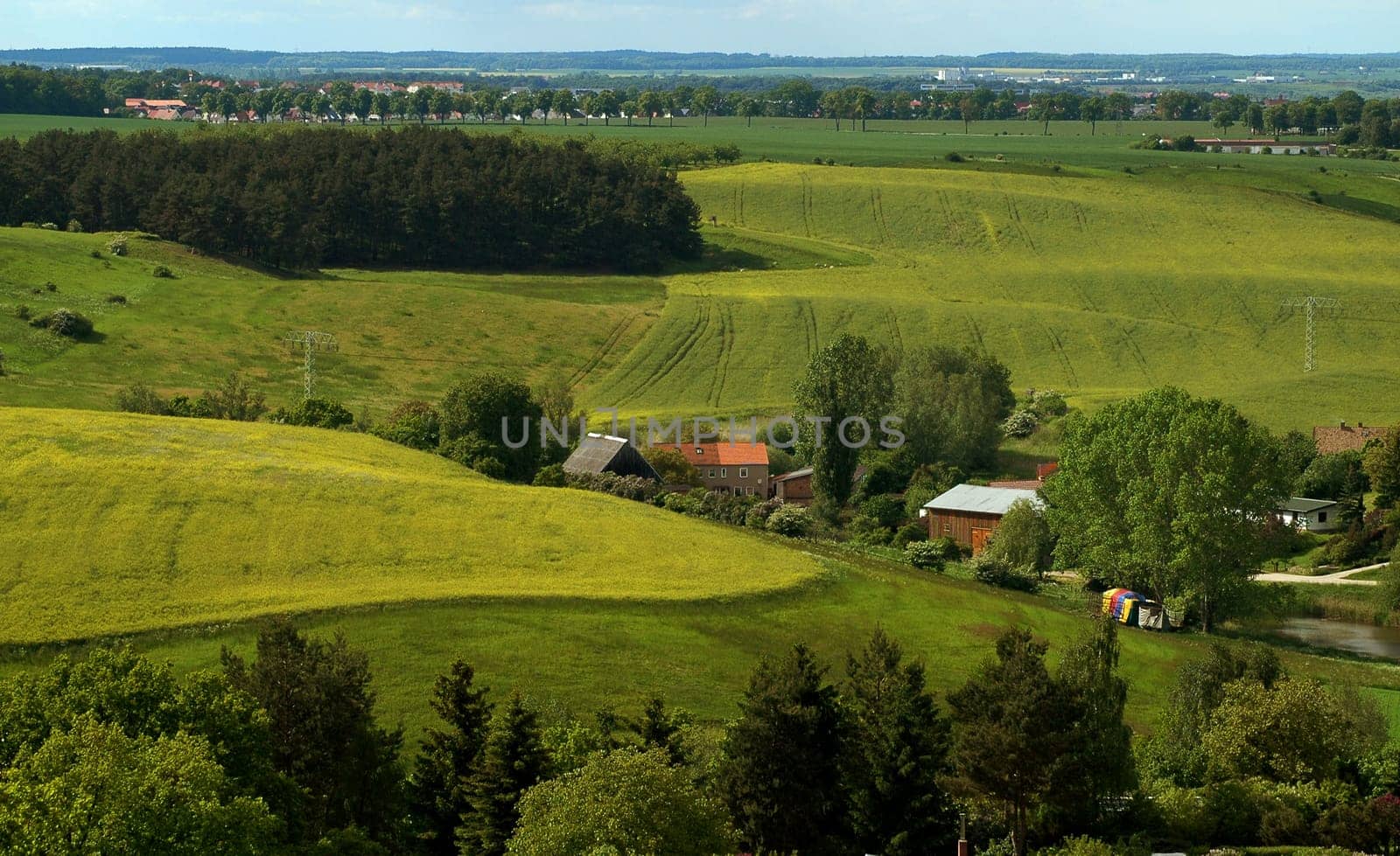 Now the beautiful rapeseed season is over for us too......