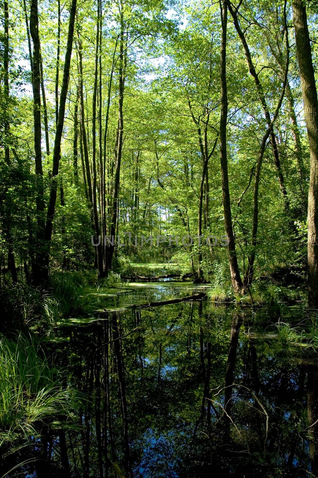 Water channel