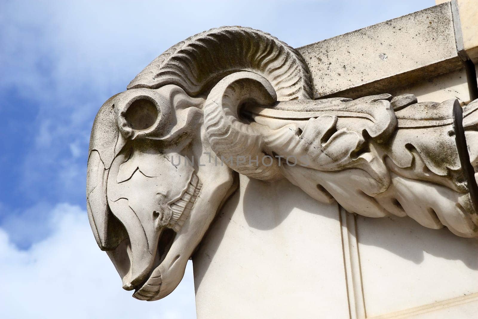 Aries' head