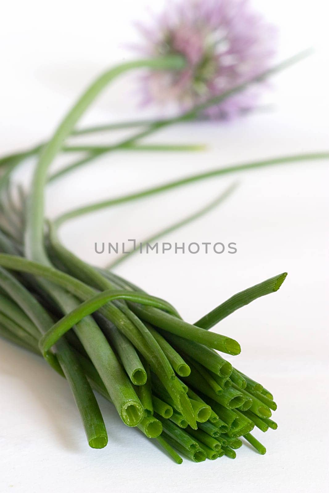 Chives 3