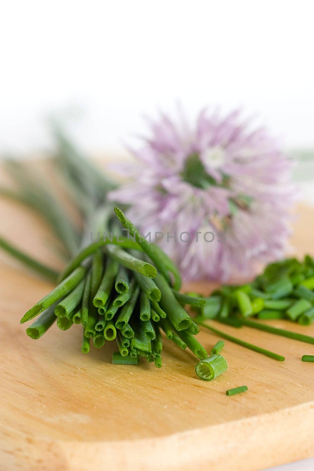 Chives 4