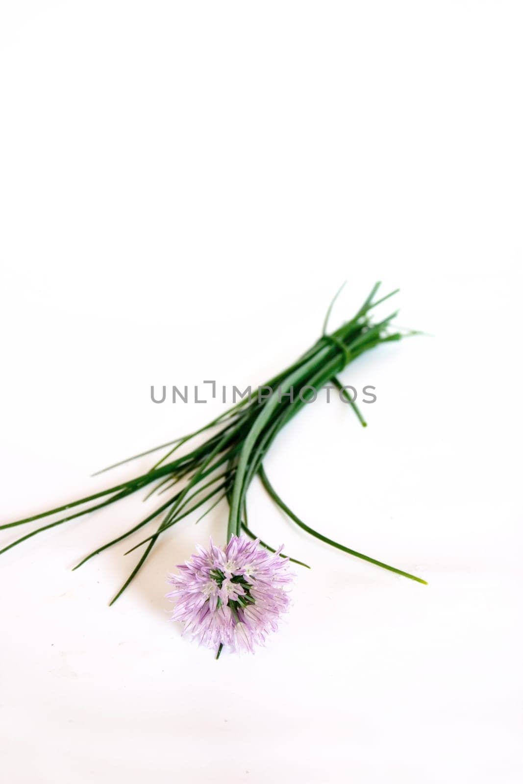Chives 2
