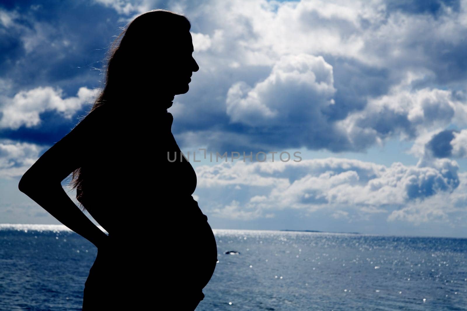 Silhouette of a pregnant woman on the beach