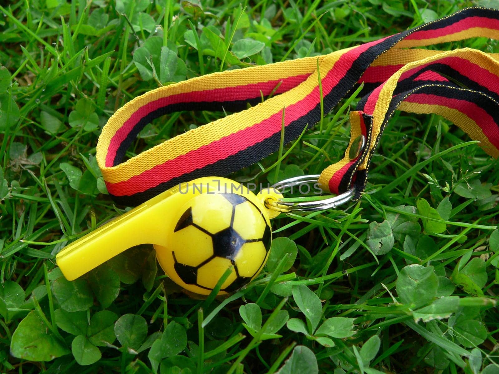 Whistle