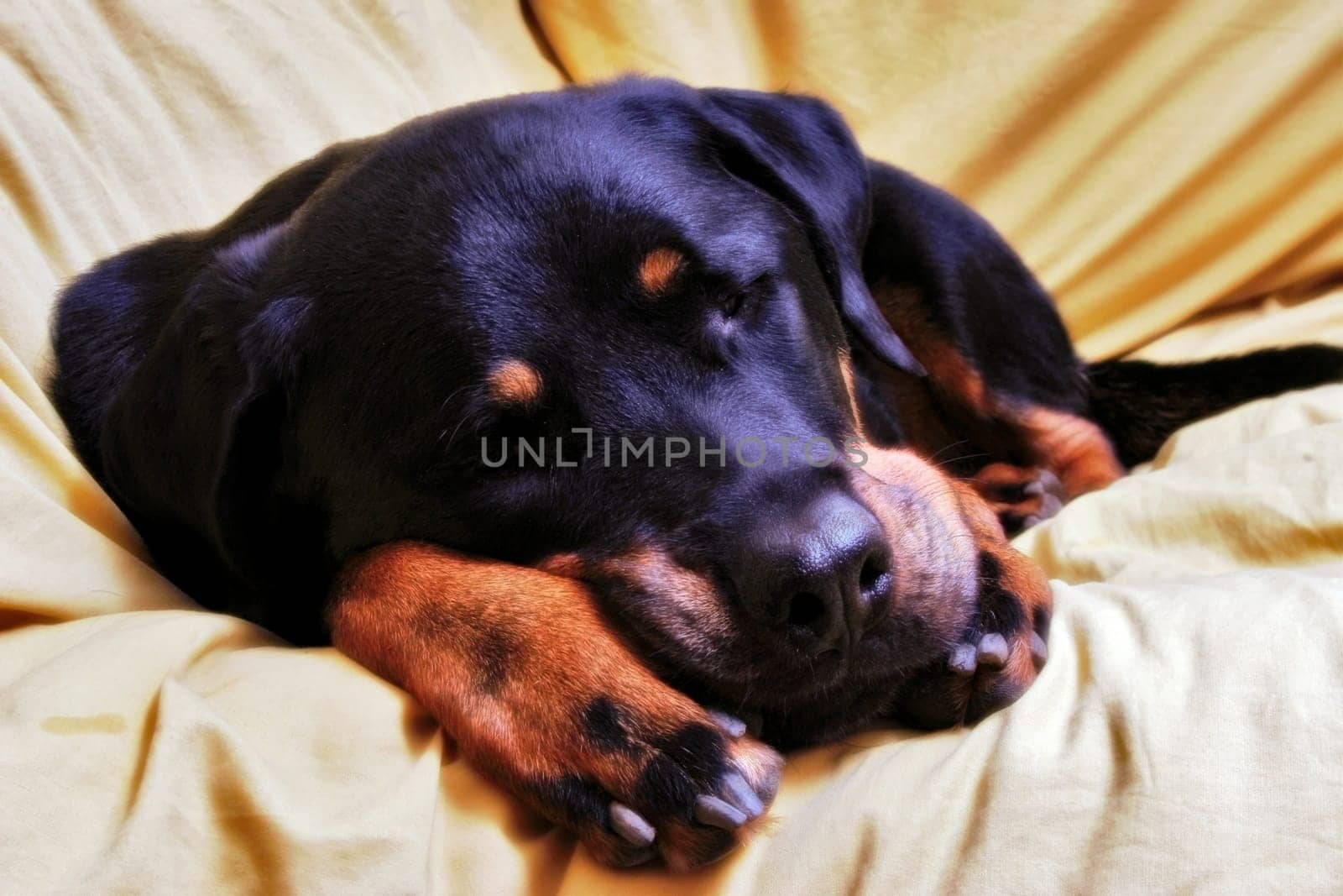 Night,sleep and dream Beautiful