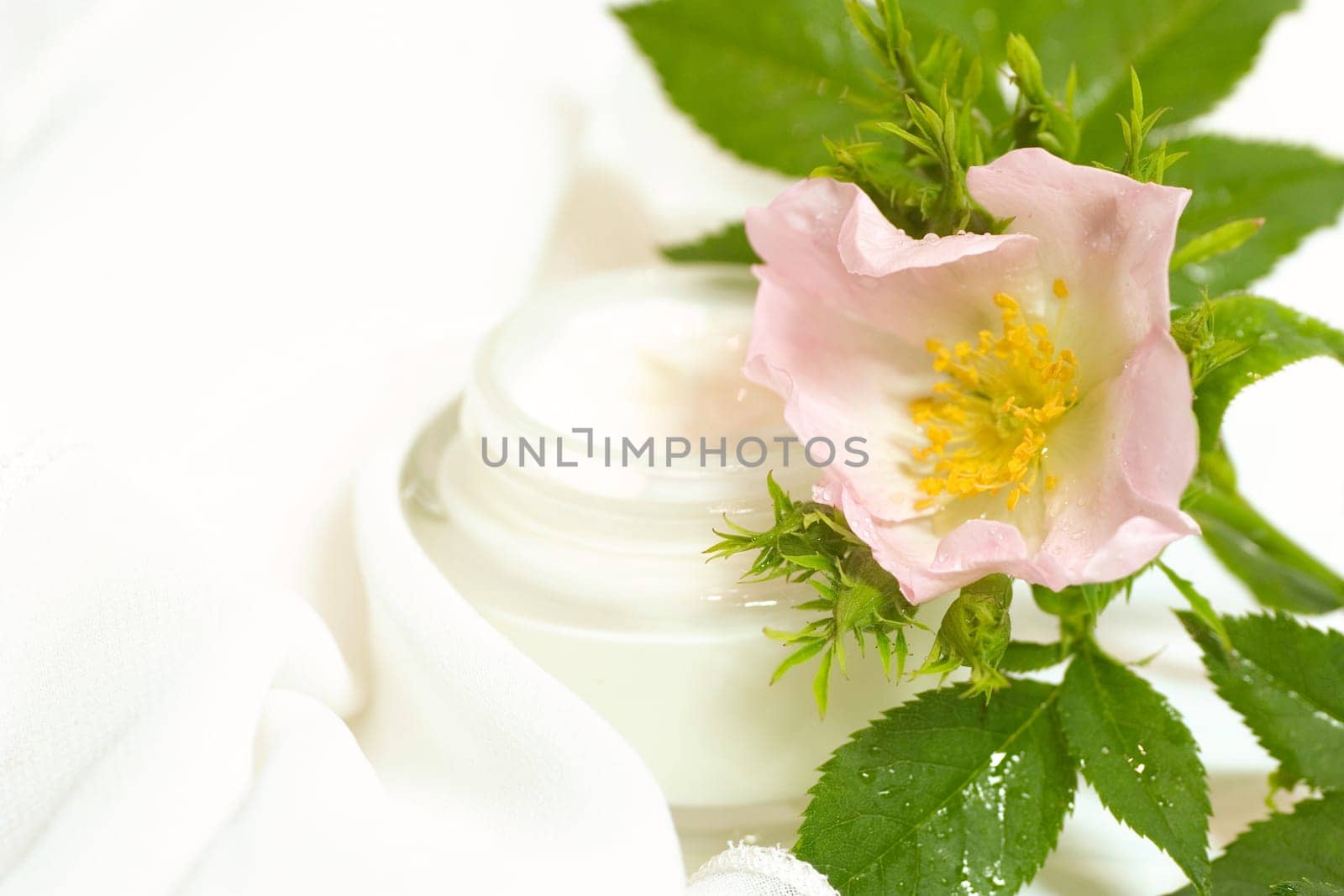 Skin Cream 4