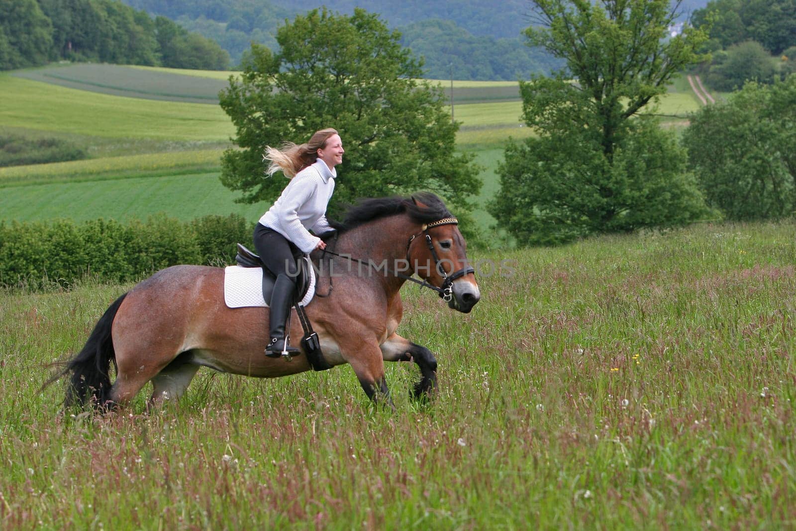 Saturday's shooting Christina and the 4-year-old cold-blooded mare Halla,the earth shook