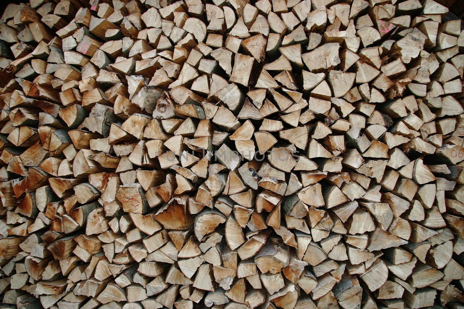 Winter stock